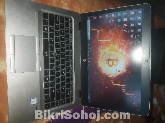 HP Windows 10 Pro Laptop
